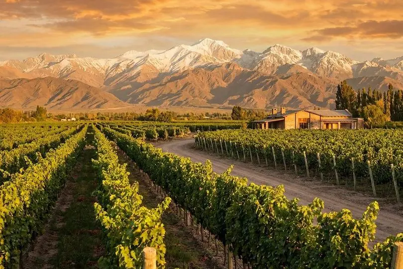 Viñedos al pie de la cordillera de los Andes, en Mendoza